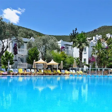 Nish Bodrum